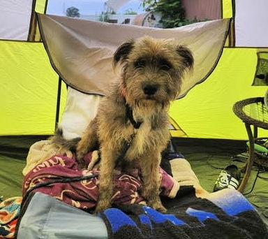 Princess Lia thumbnail 4