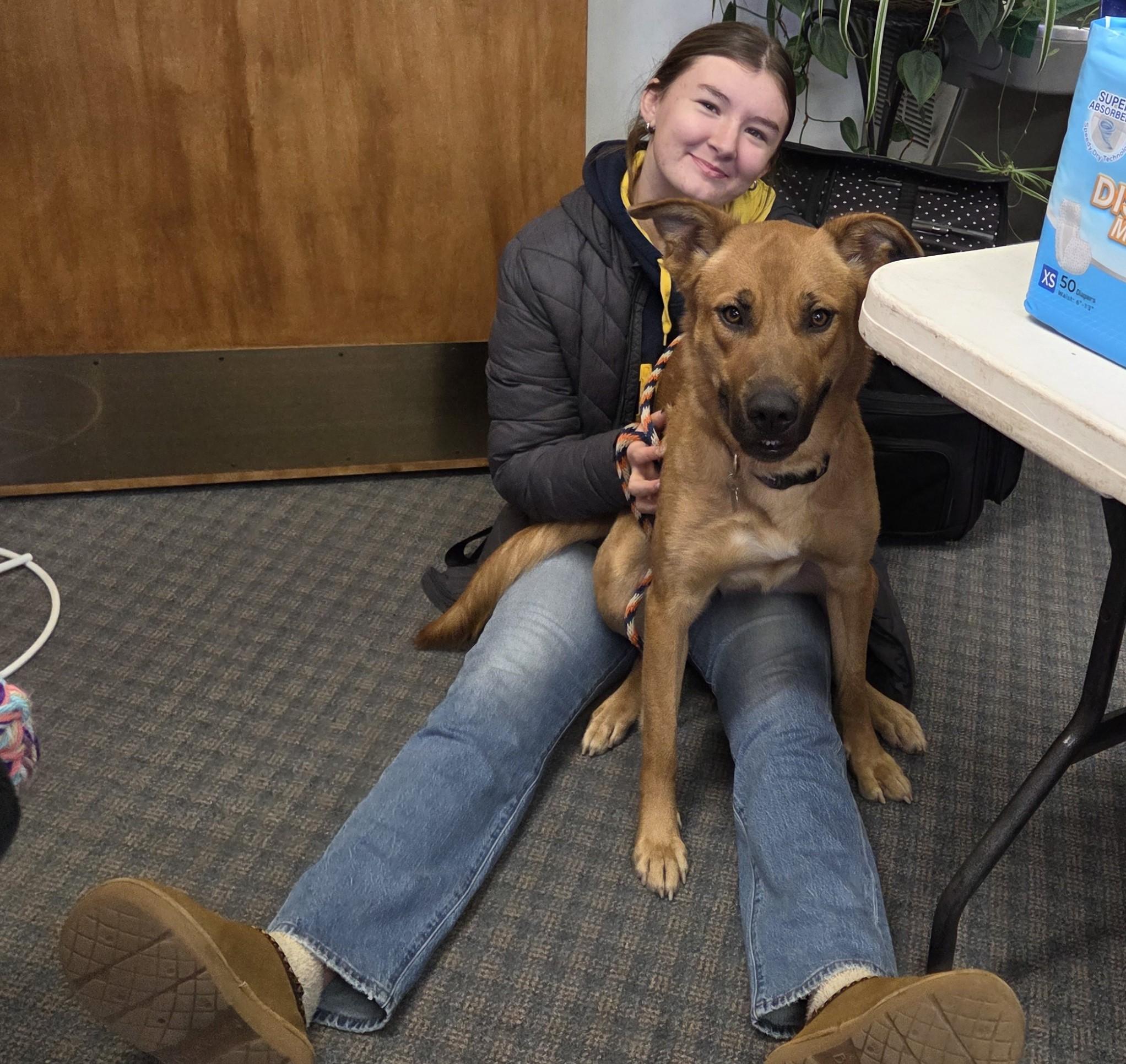 Enlarge Prego, a Adoptable mixed breed in Carsonville, MI image 2/6