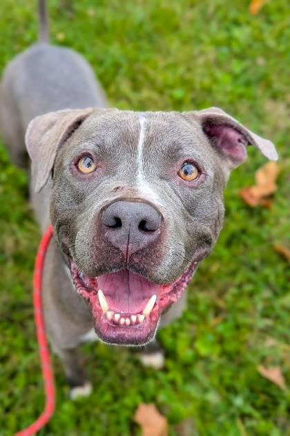 Reed Richards thumbnail 2