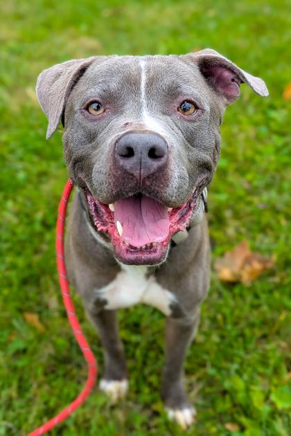 Reed Richards thumbnail 3