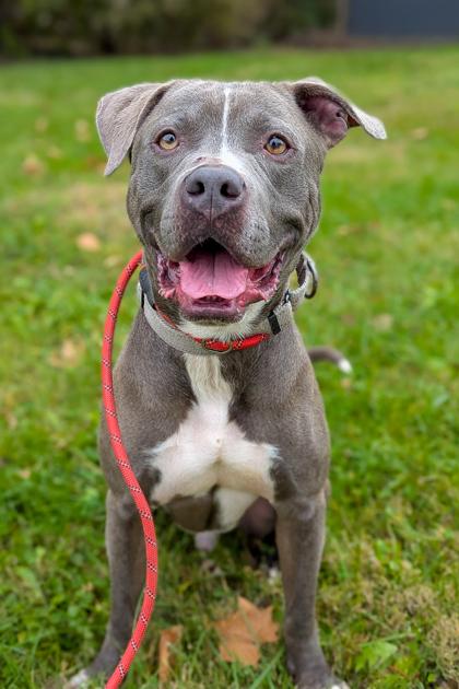 Reed Richards thumbnail 4