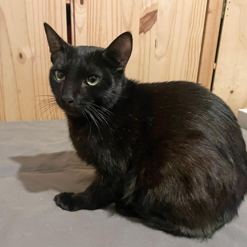 Cesium — thumbnail 2