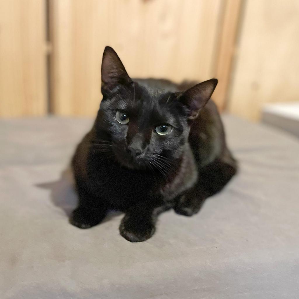 Cesium — thumbnail 4