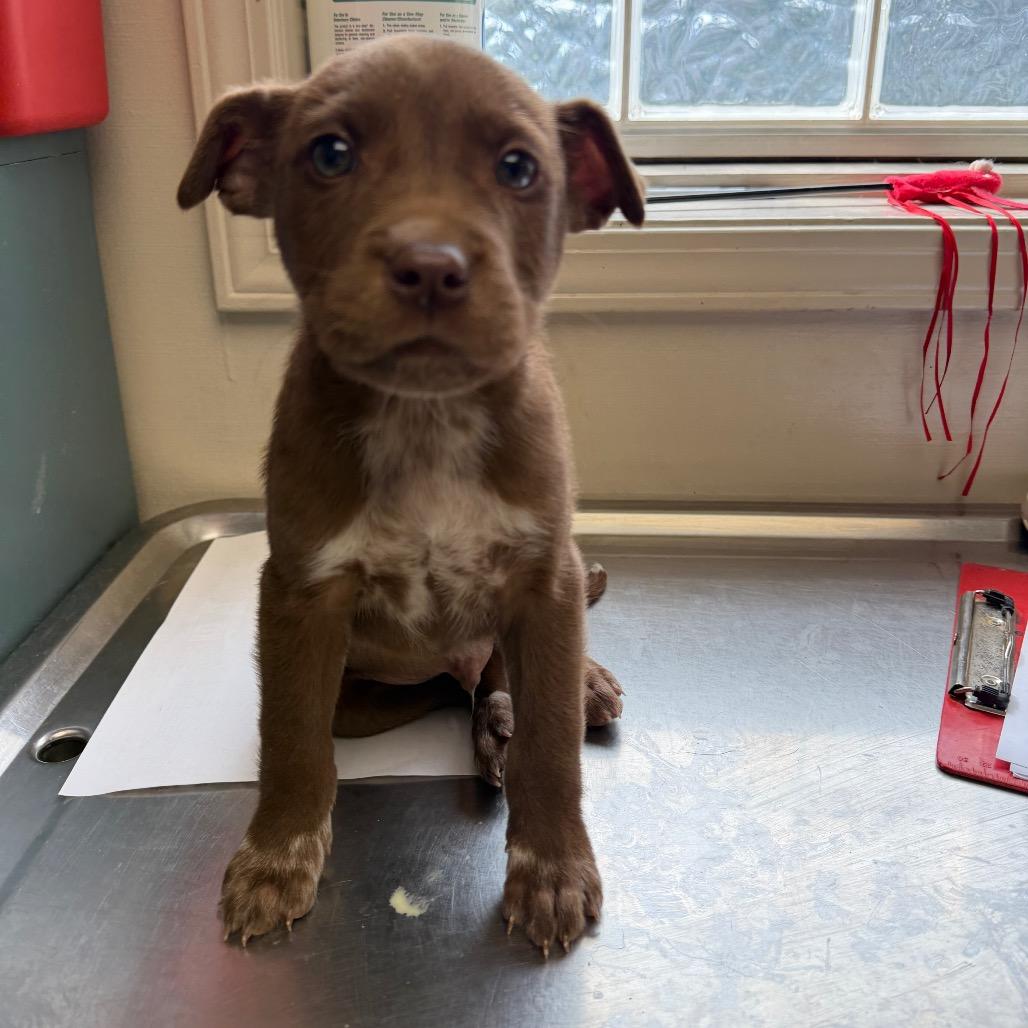 Toast — thumbnail 2