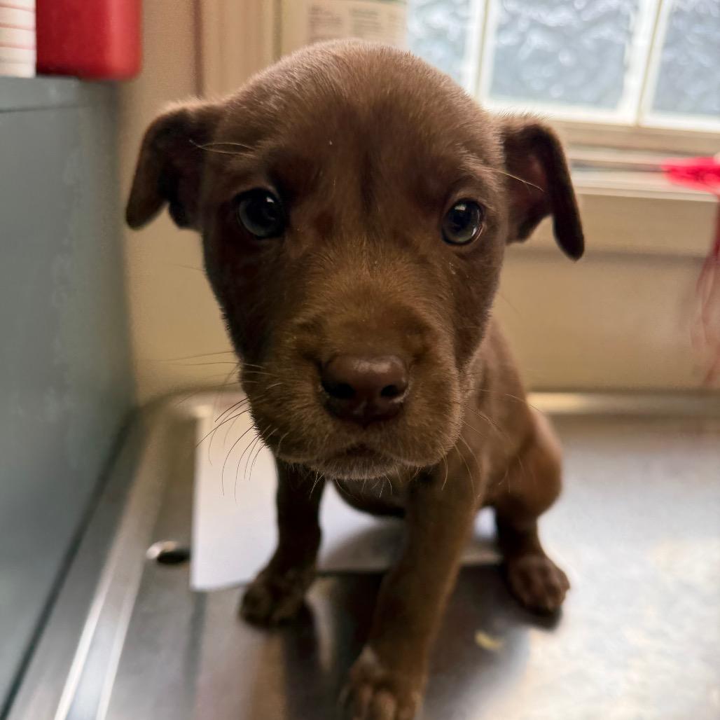 Toast — thumbnail 3