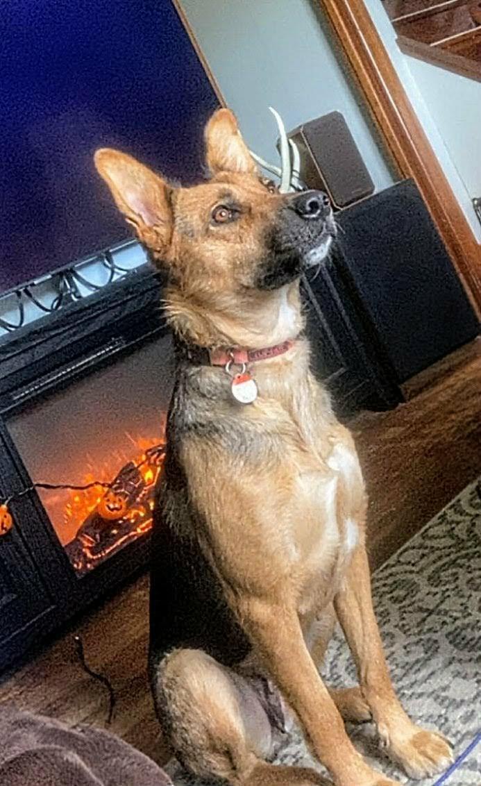 Miss Lily (20250704-03)