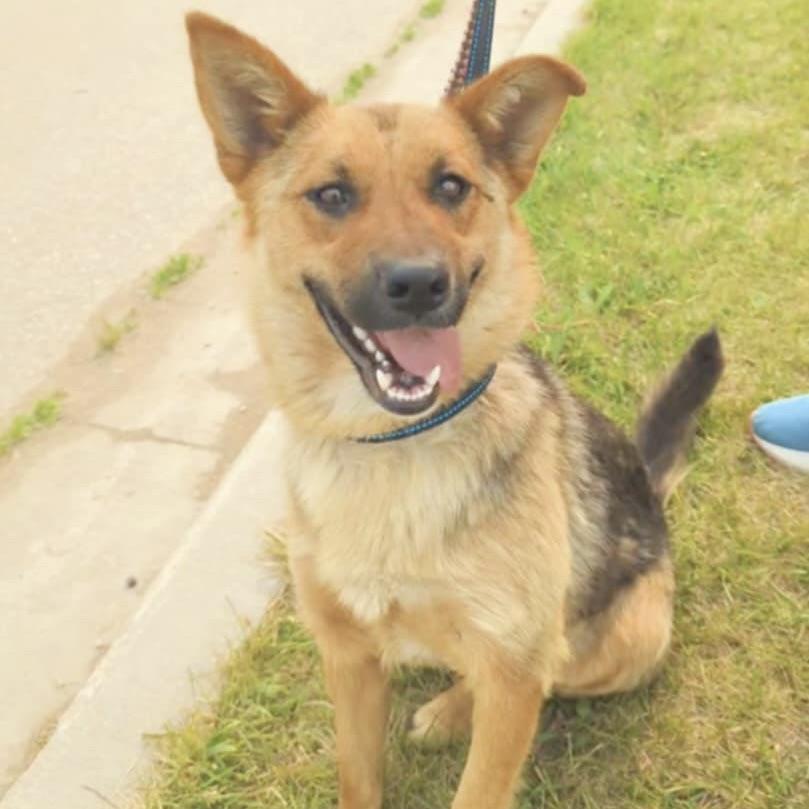 Miss Lily (20250704-03) — thumbnail 3