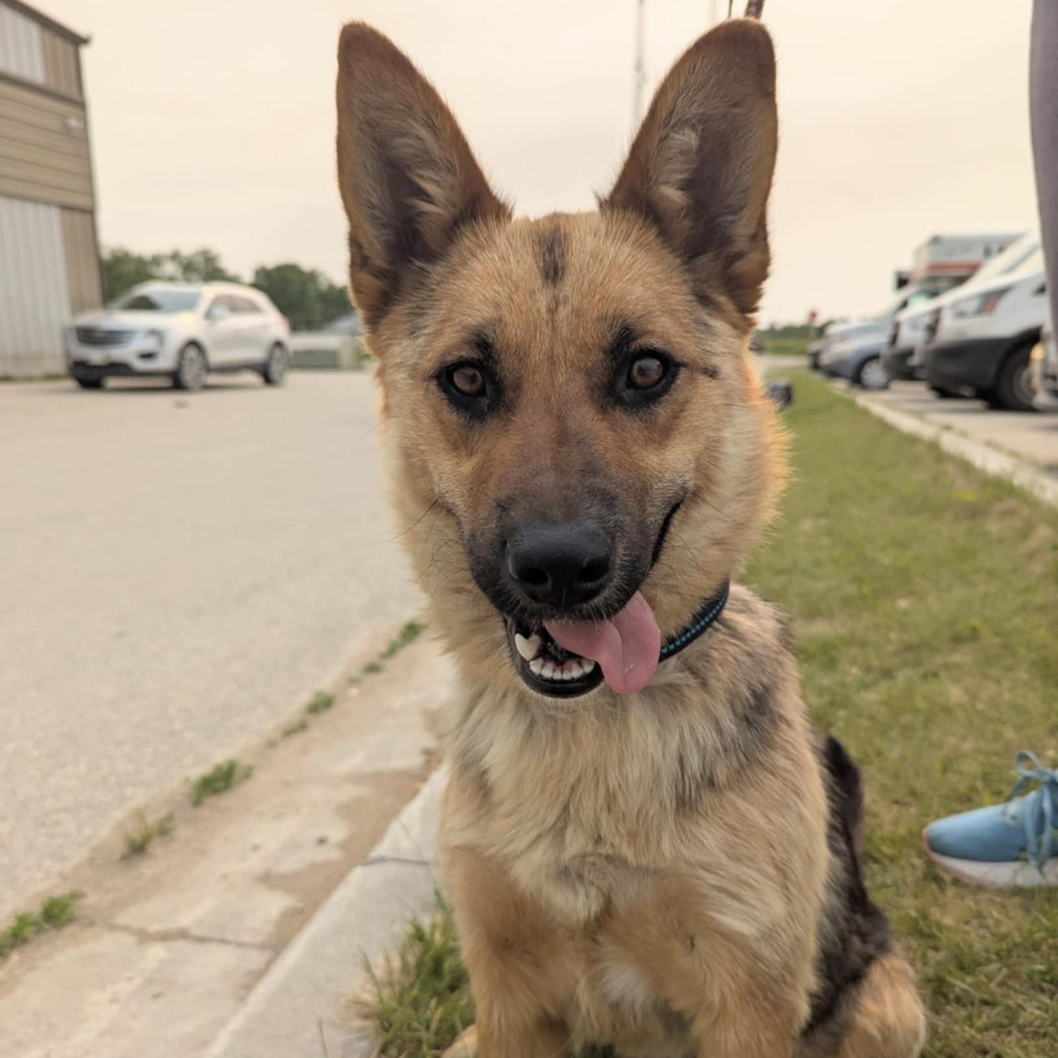 Miss Lily (20250704-03) — thumbnail 4