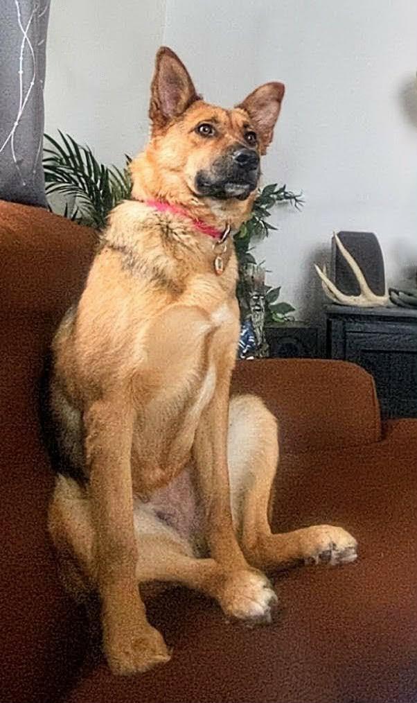 Miss Lily (20250704-03) — thumbnail 5