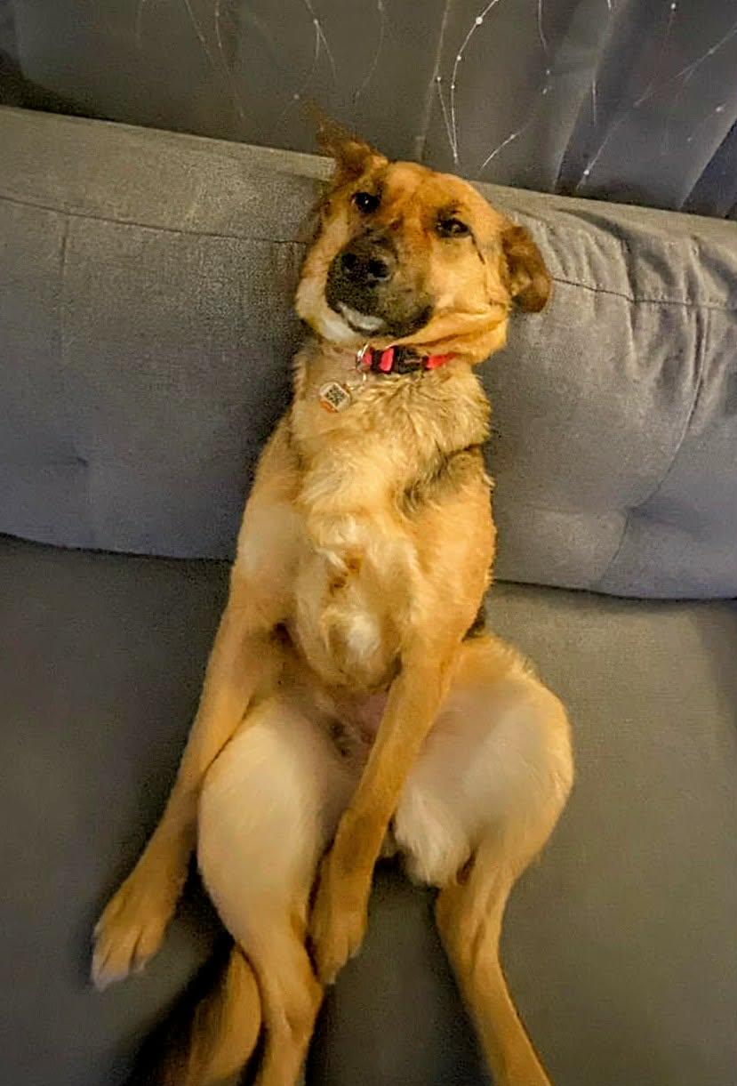 Miss Lily (20250704-03) — thumbnail 6