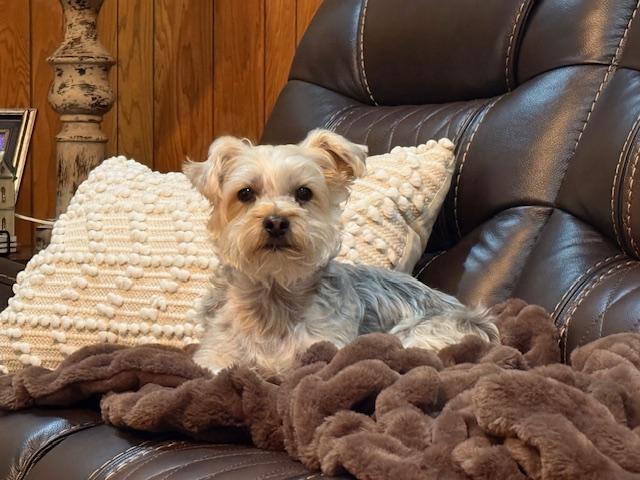 Major Tom — thumbnail 2