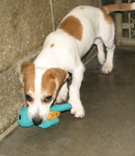 #3782 Mabel photo 6