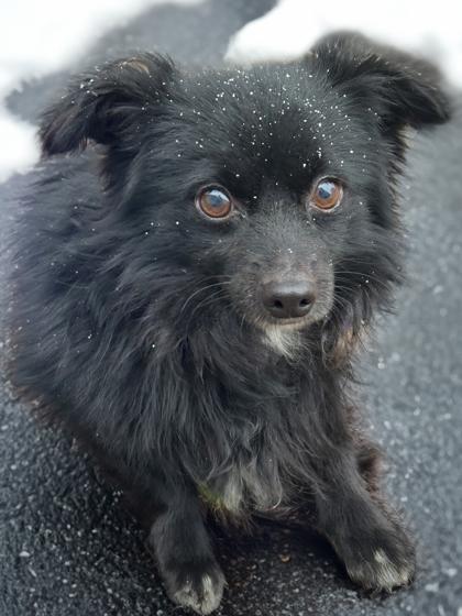 Kyle — thumbnail 2