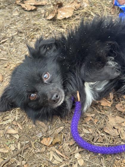 Kyle — thumbnail 3