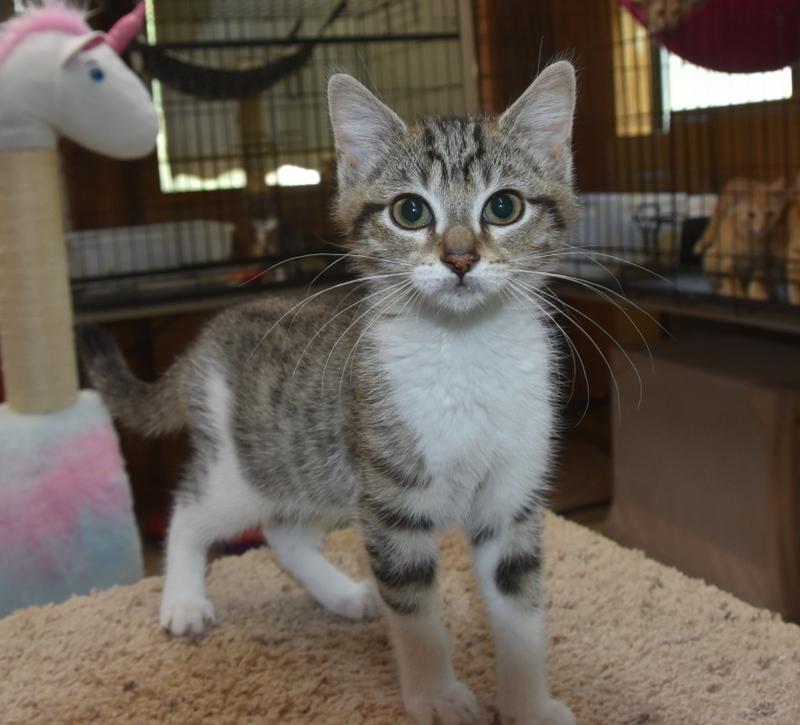 Toka (Lisa-Fostered in New England), Baby Female unknown