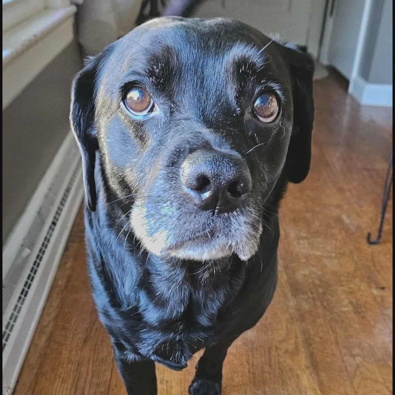 Reggie