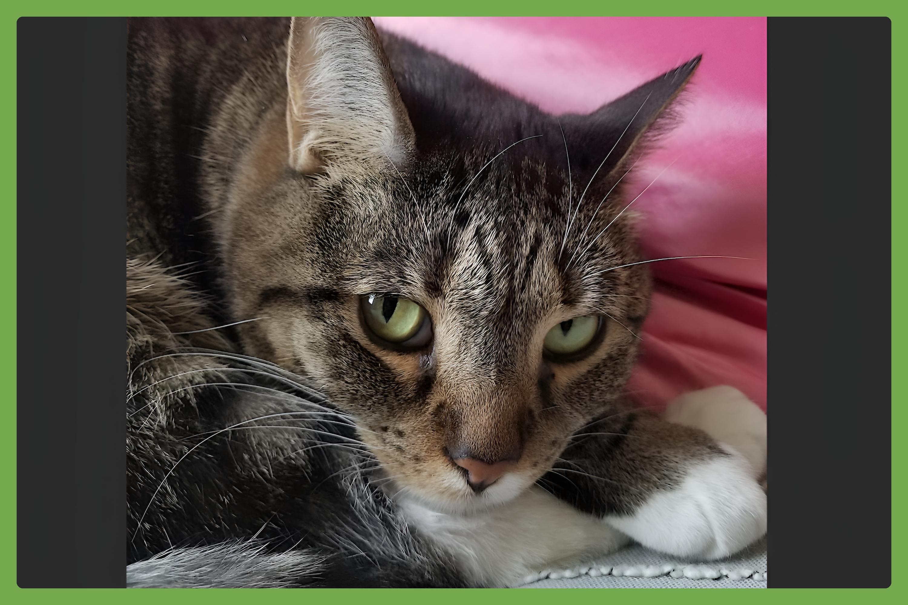 Jade — thumbnail 3