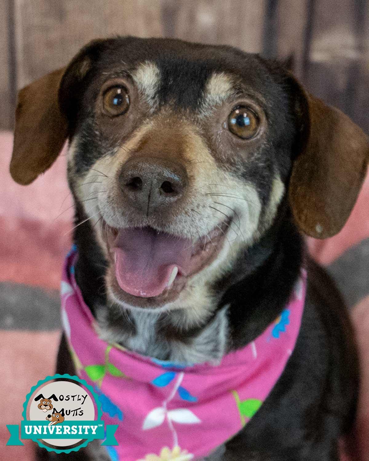 Lori — thumbnail 2