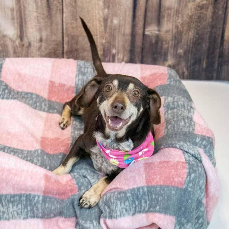 Lori — thumbnail 4