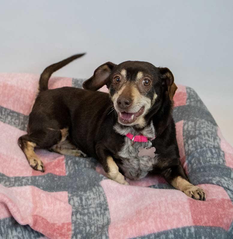 Lori — thumbnail 6