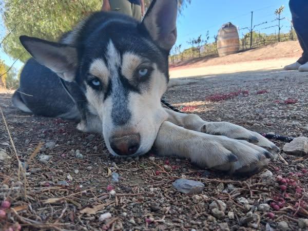 Meet Ken – The thumbnail 5