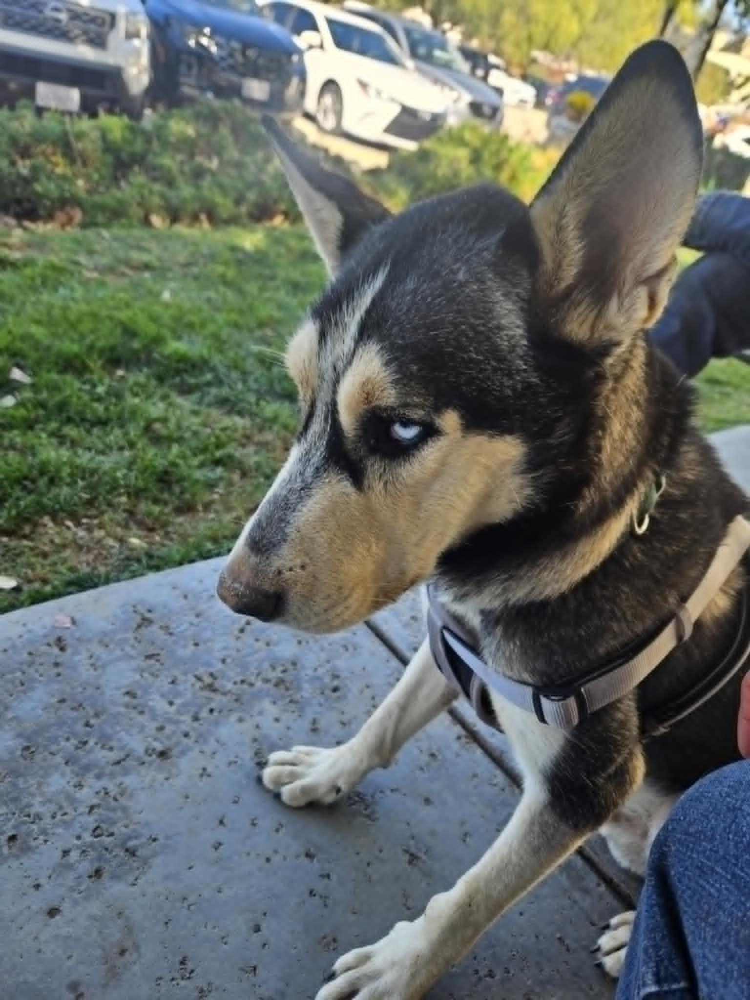 Meet Ken – The thumbnail 6