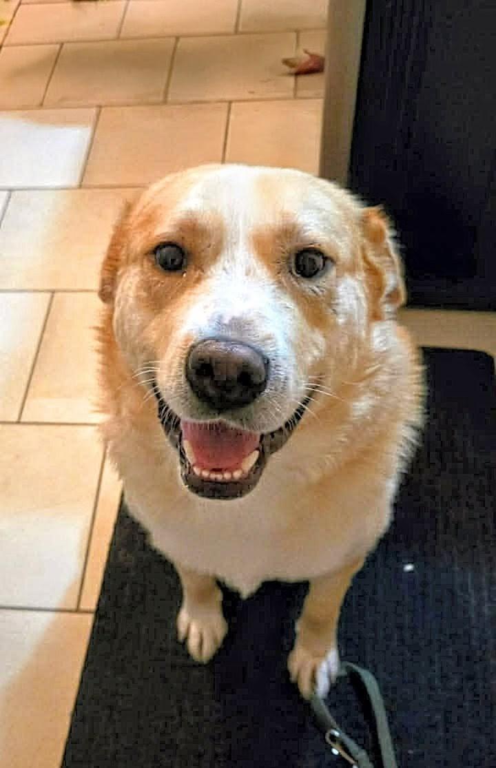 Beast (20251006-02) — thumbnail 2