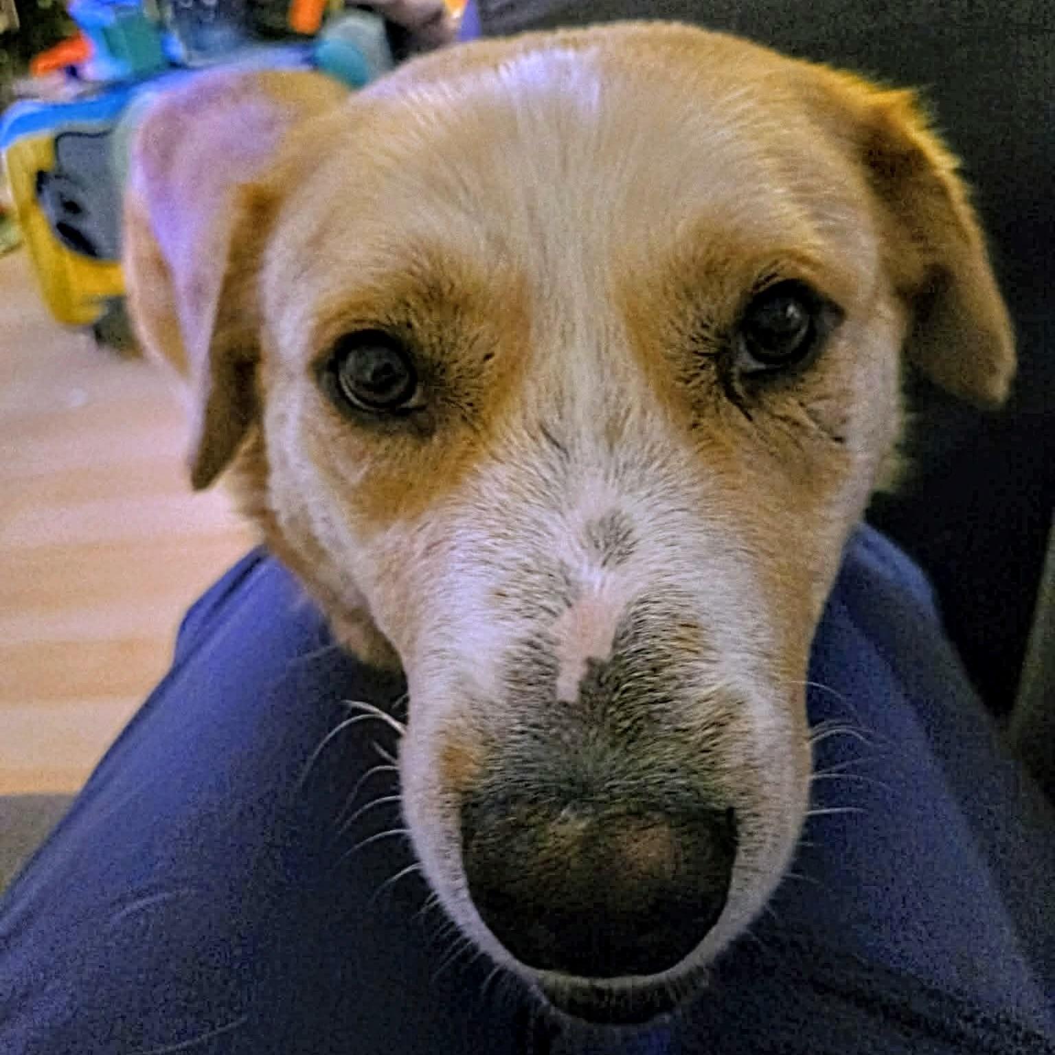 Beast (20251006-02) — thumbnail 3