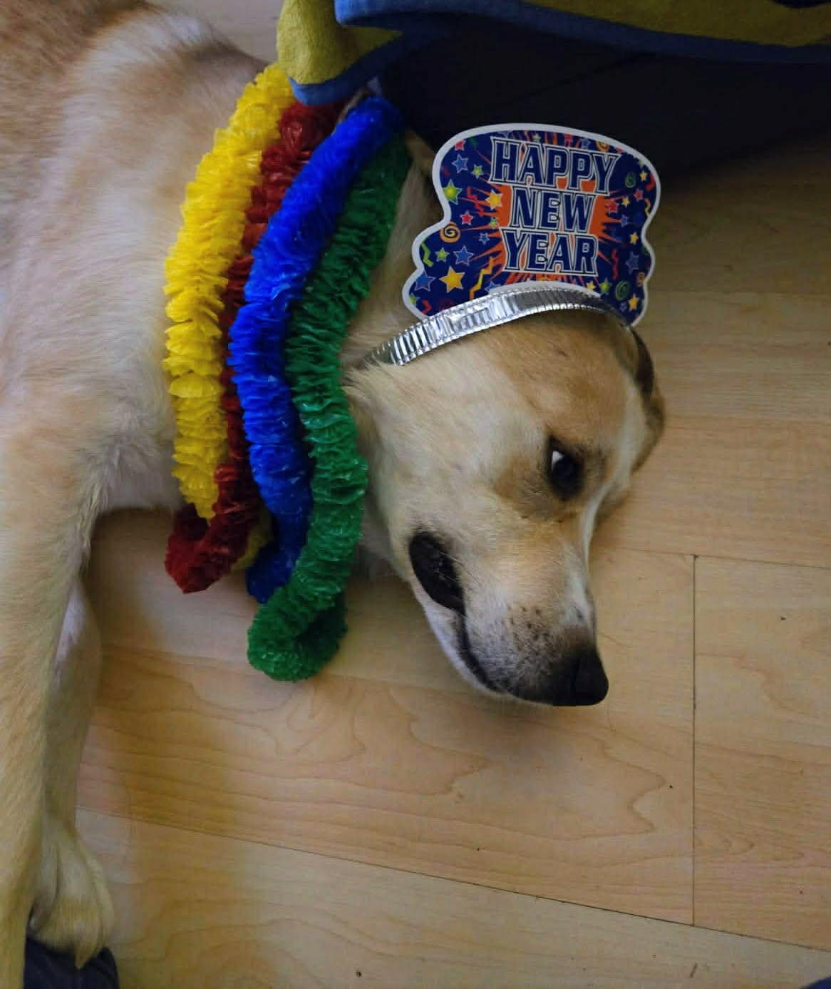 Beast (20251006-02) — thumbnail 4