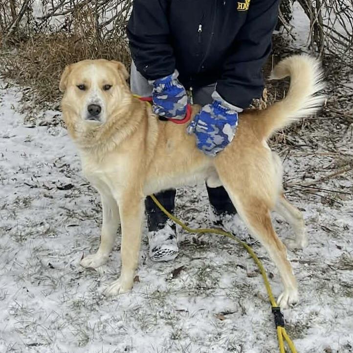 Beast (20251006-02) — thumbnail 5