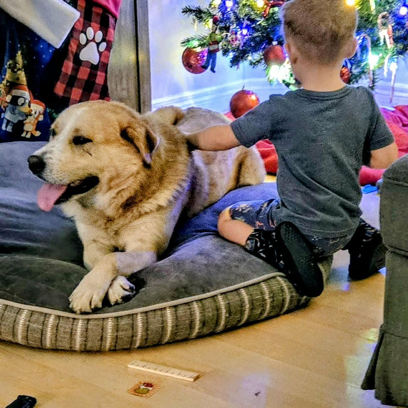 Beast (20251006-02) — thumbnail 6