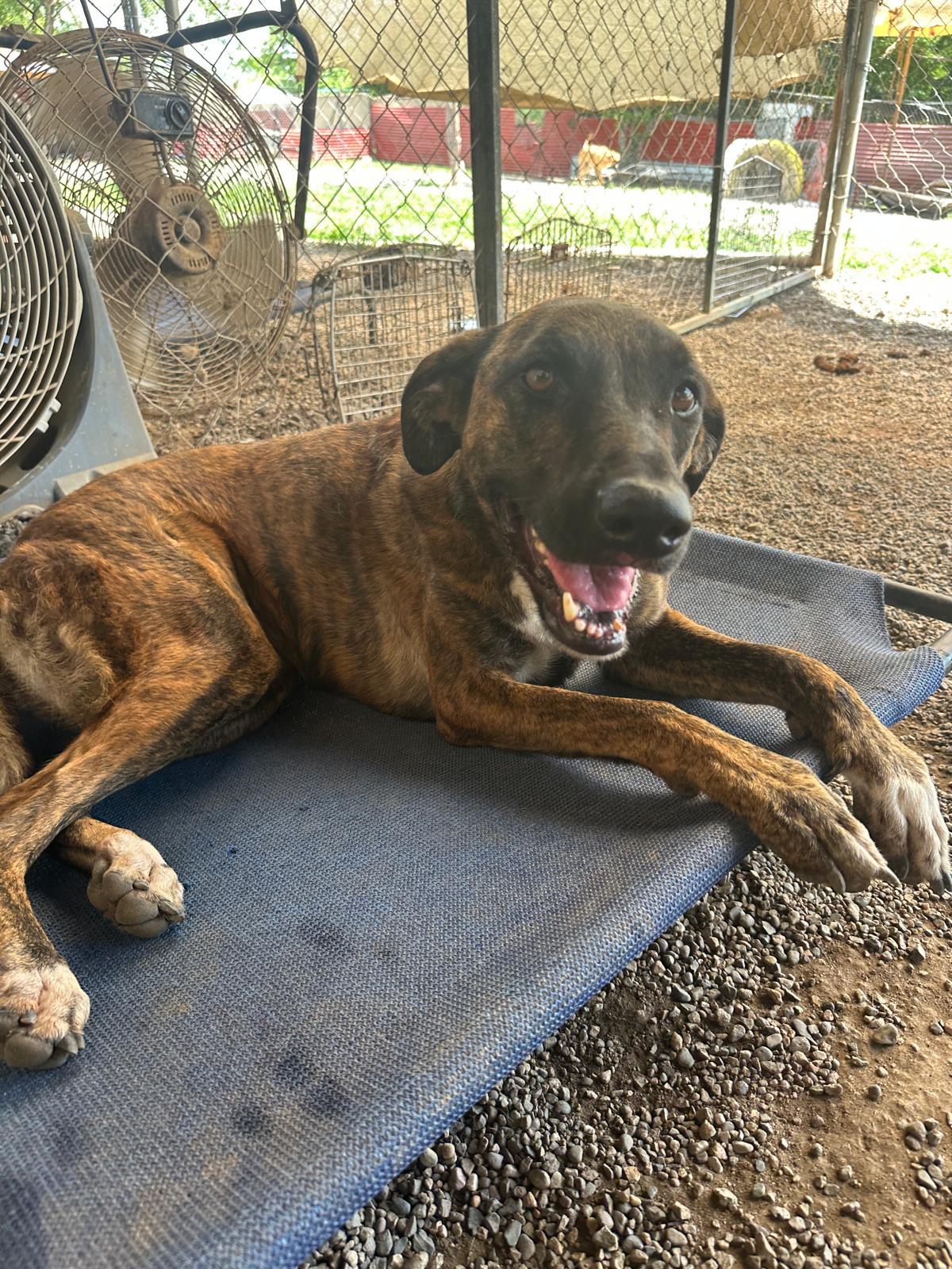 Camila — thumbnail 3