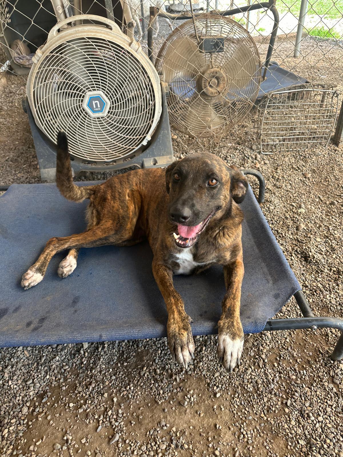 Camila — thumbnail 4