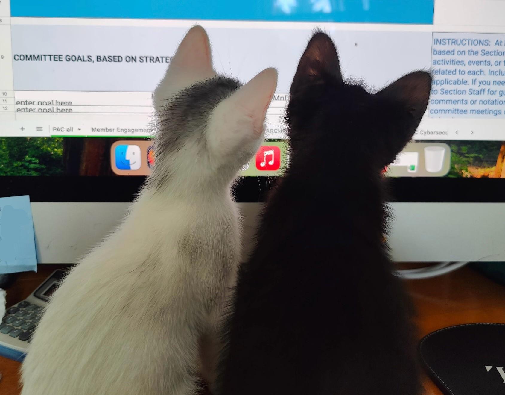Tundra & Toby