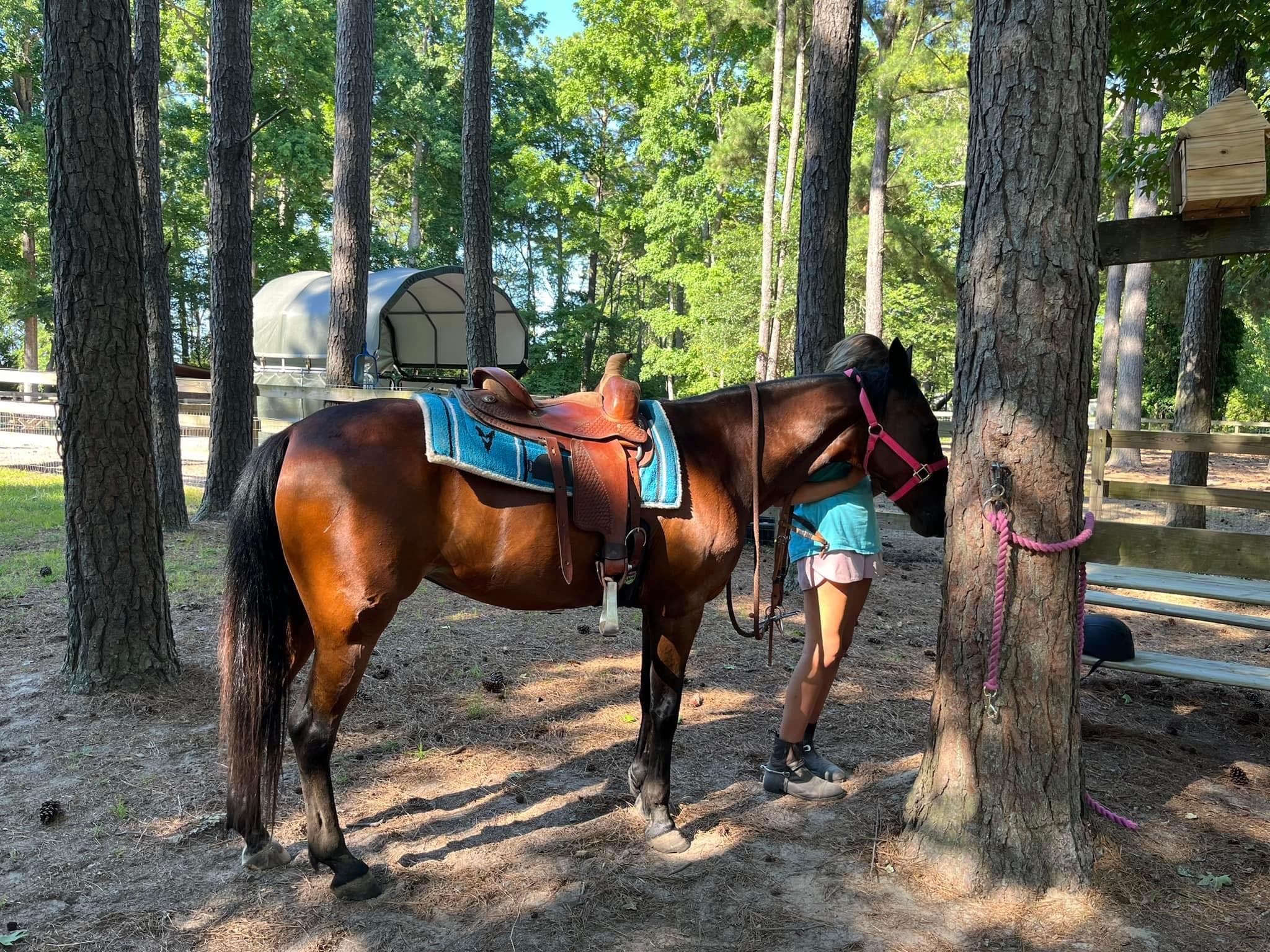Willow, a Adopted mixed breed in Grandy, NC image 3/3