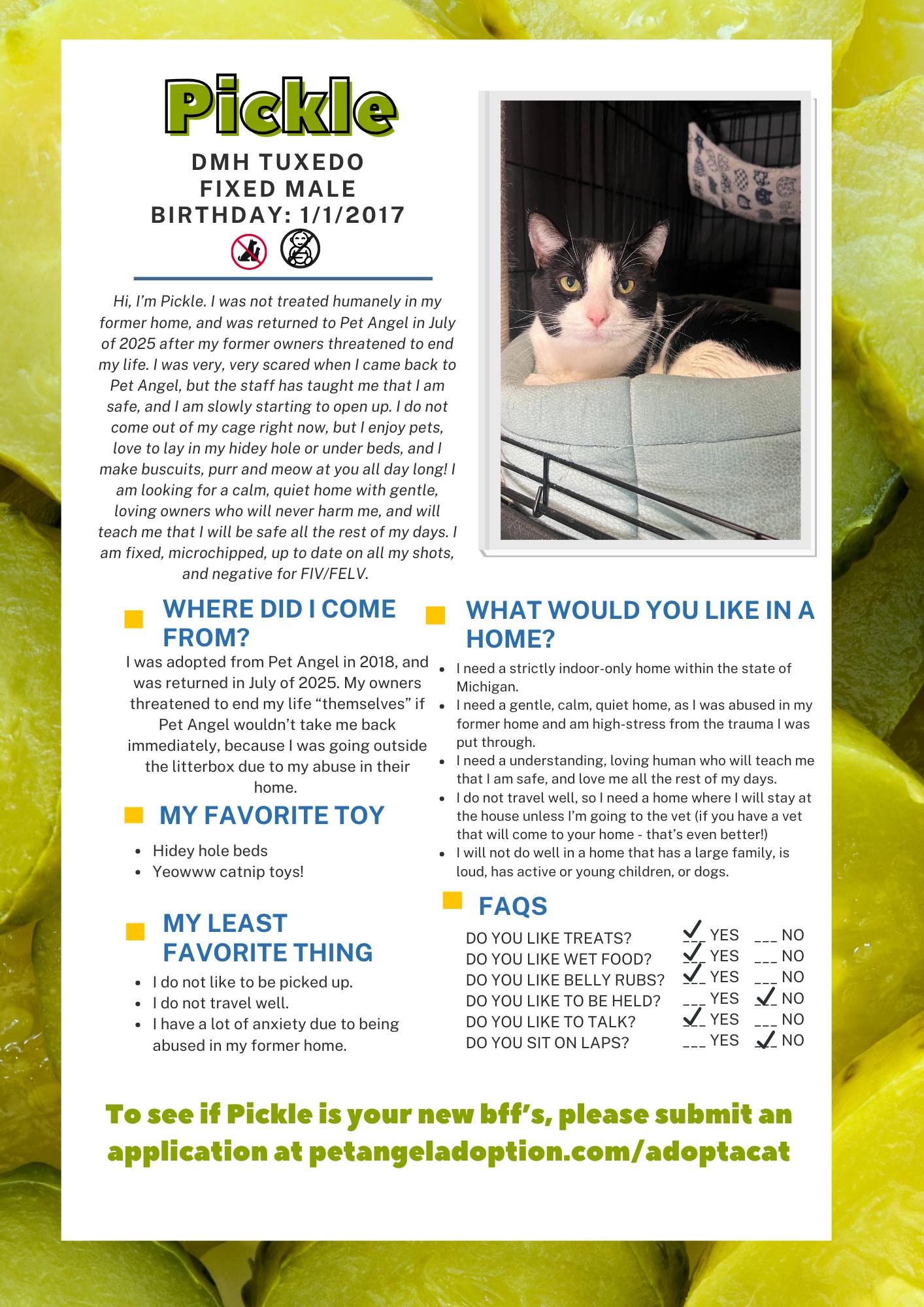 Enlarge Pickle, a Adoptable Domestic Short Hair in Frankenmuth, MI image 6/6