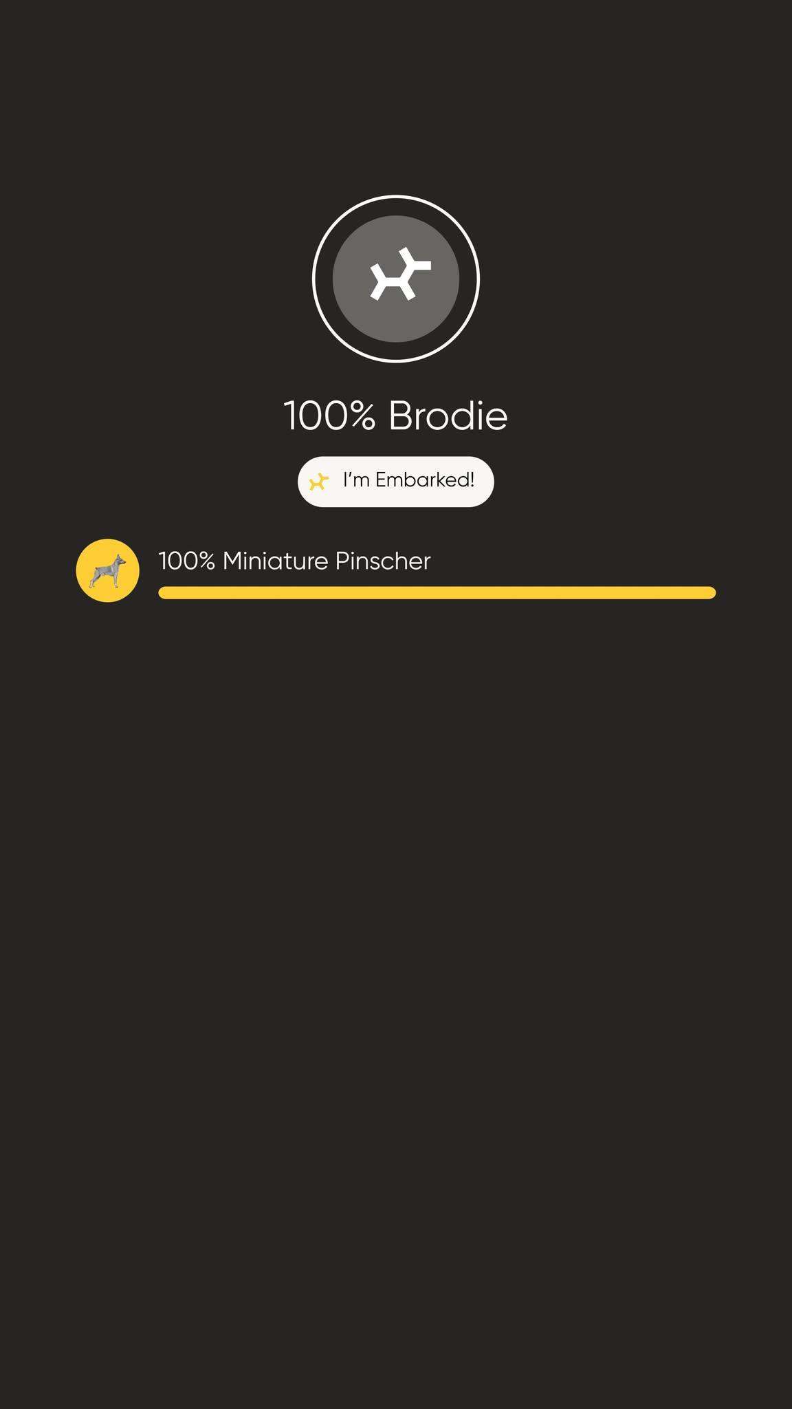 Enlarge Brodie, an adoptable Miniature Pinscher in Austin, TX image 6/6