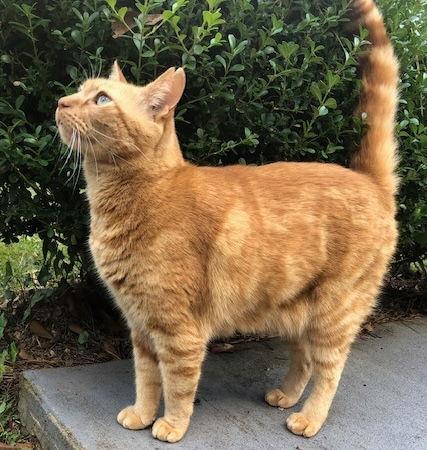 Jimmy — thumbnail 3