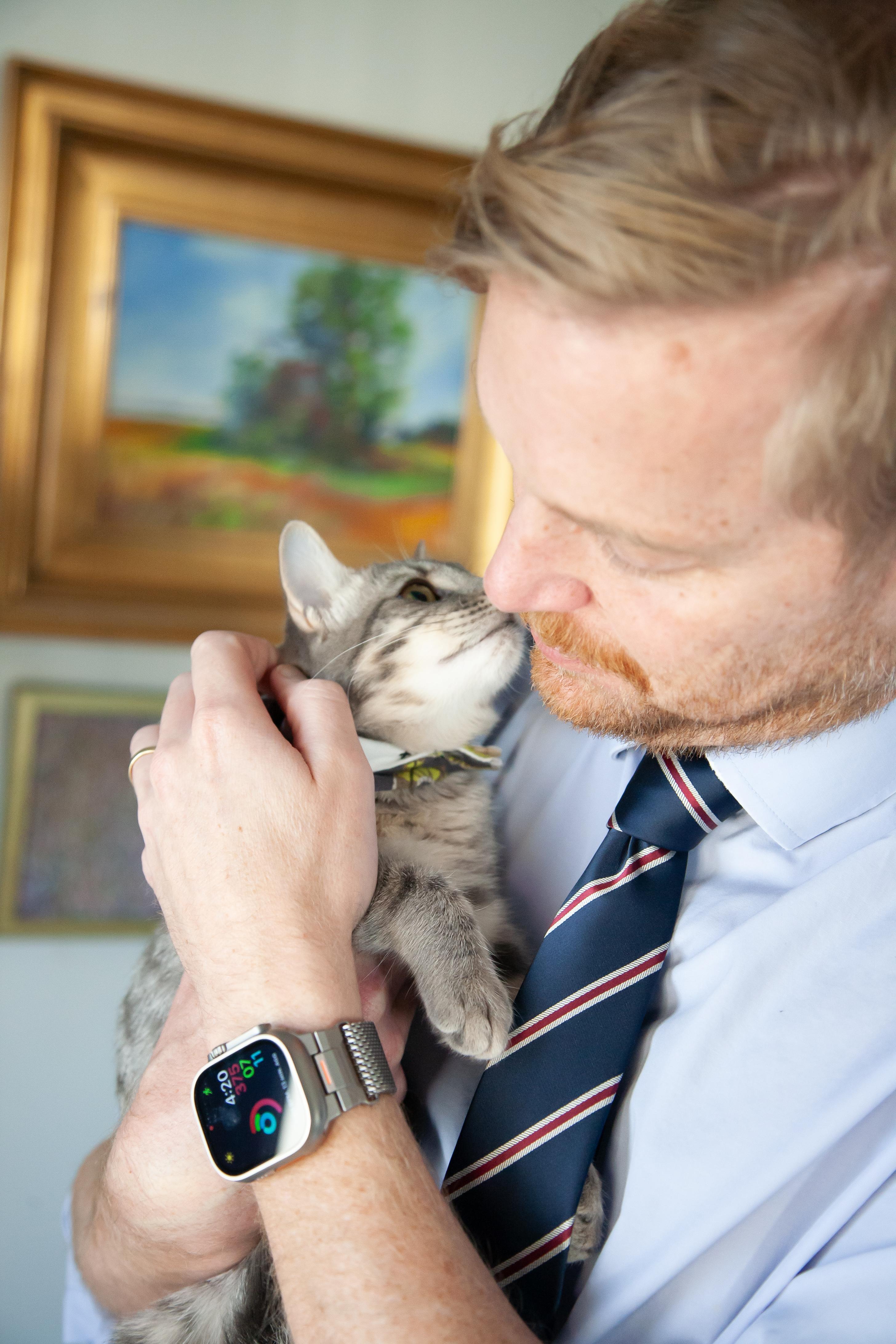 Enlarge Olivia, a Adoptable Domestic Short Hair in Nashville, TN image 5/6