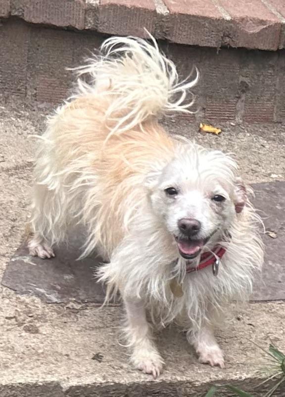 Bella