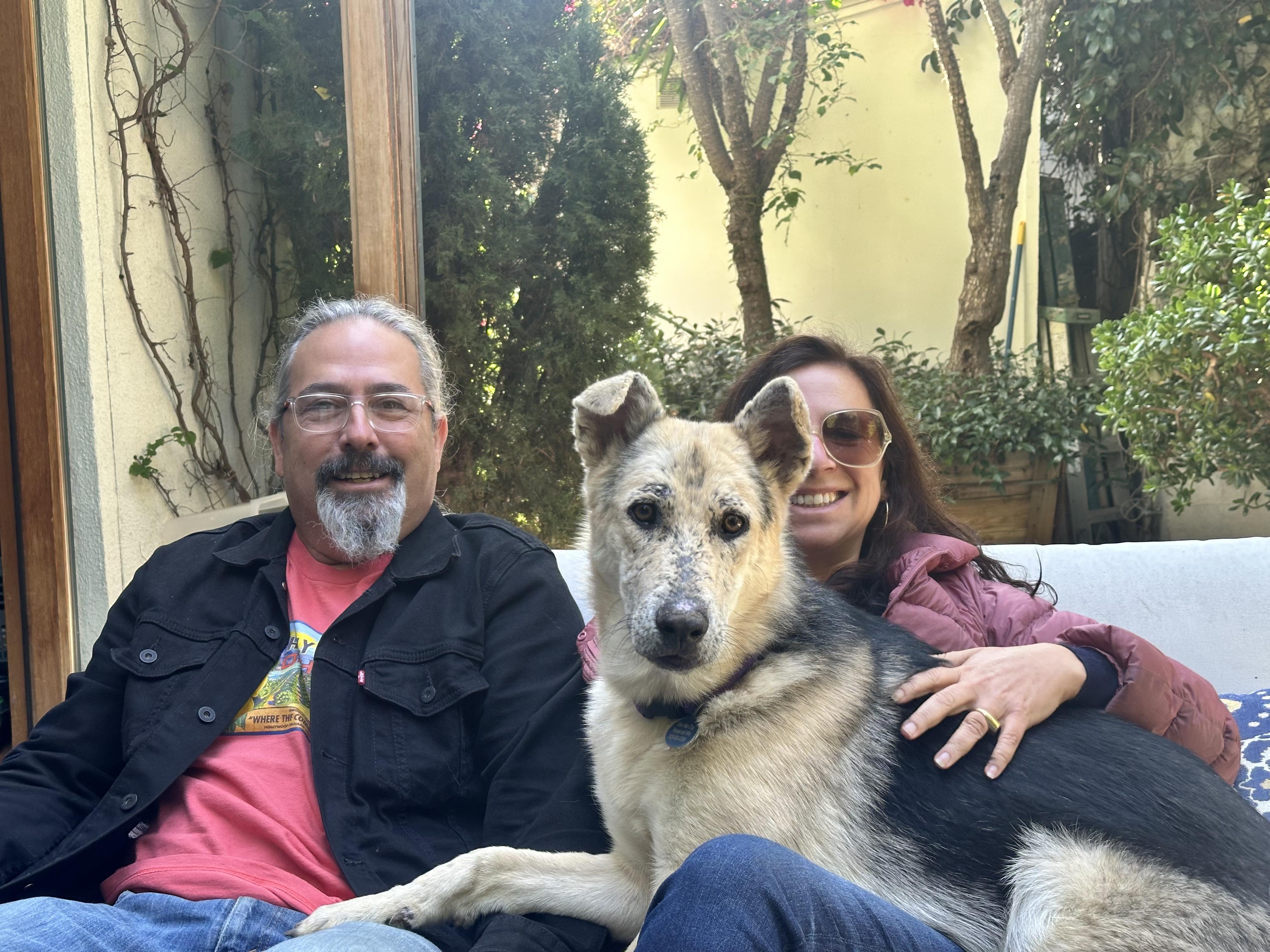 Enlarge Spider-Man, a Adoptable mixed breed in Burbank, CA image 4/6