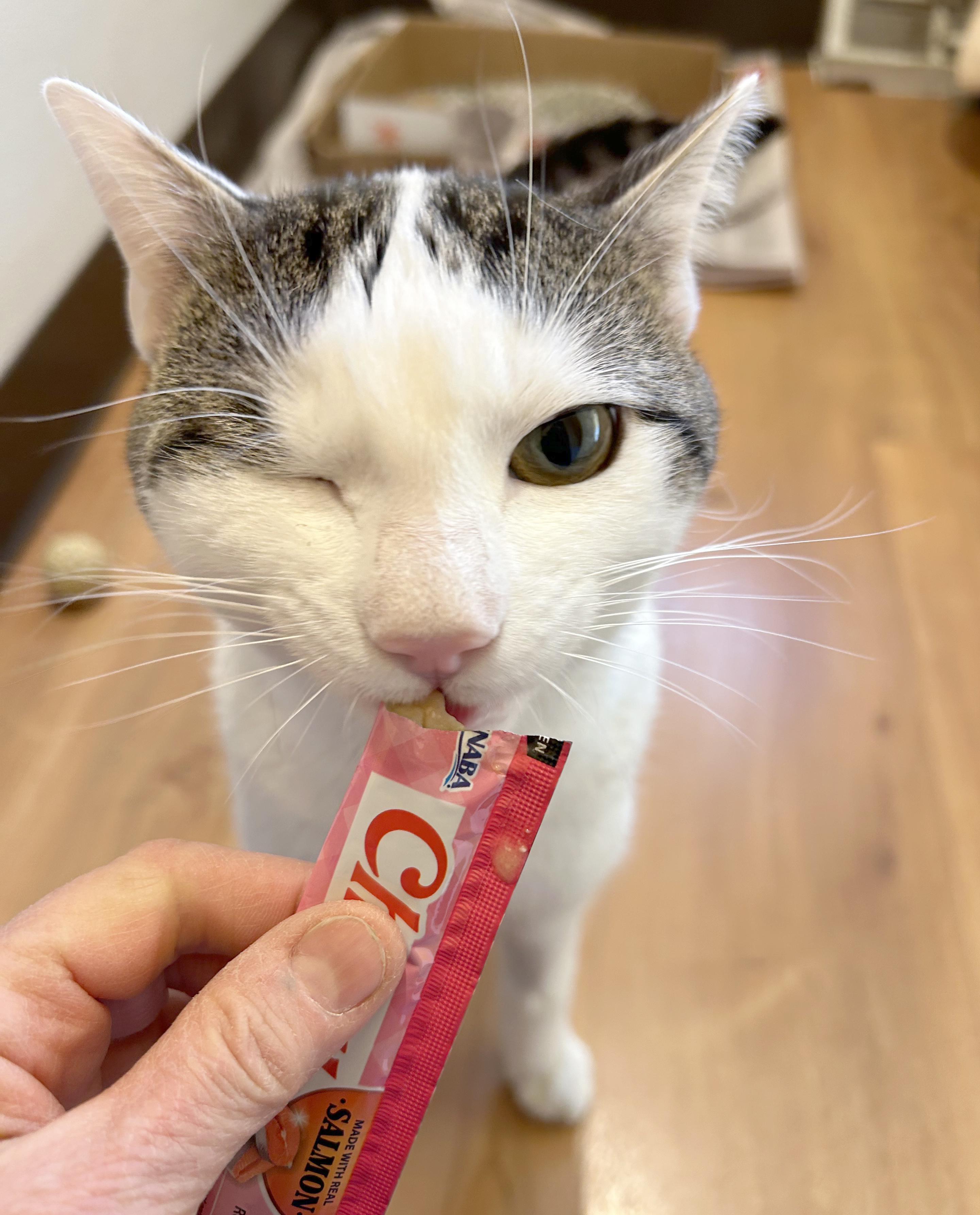 Chibi — thumbnail 3