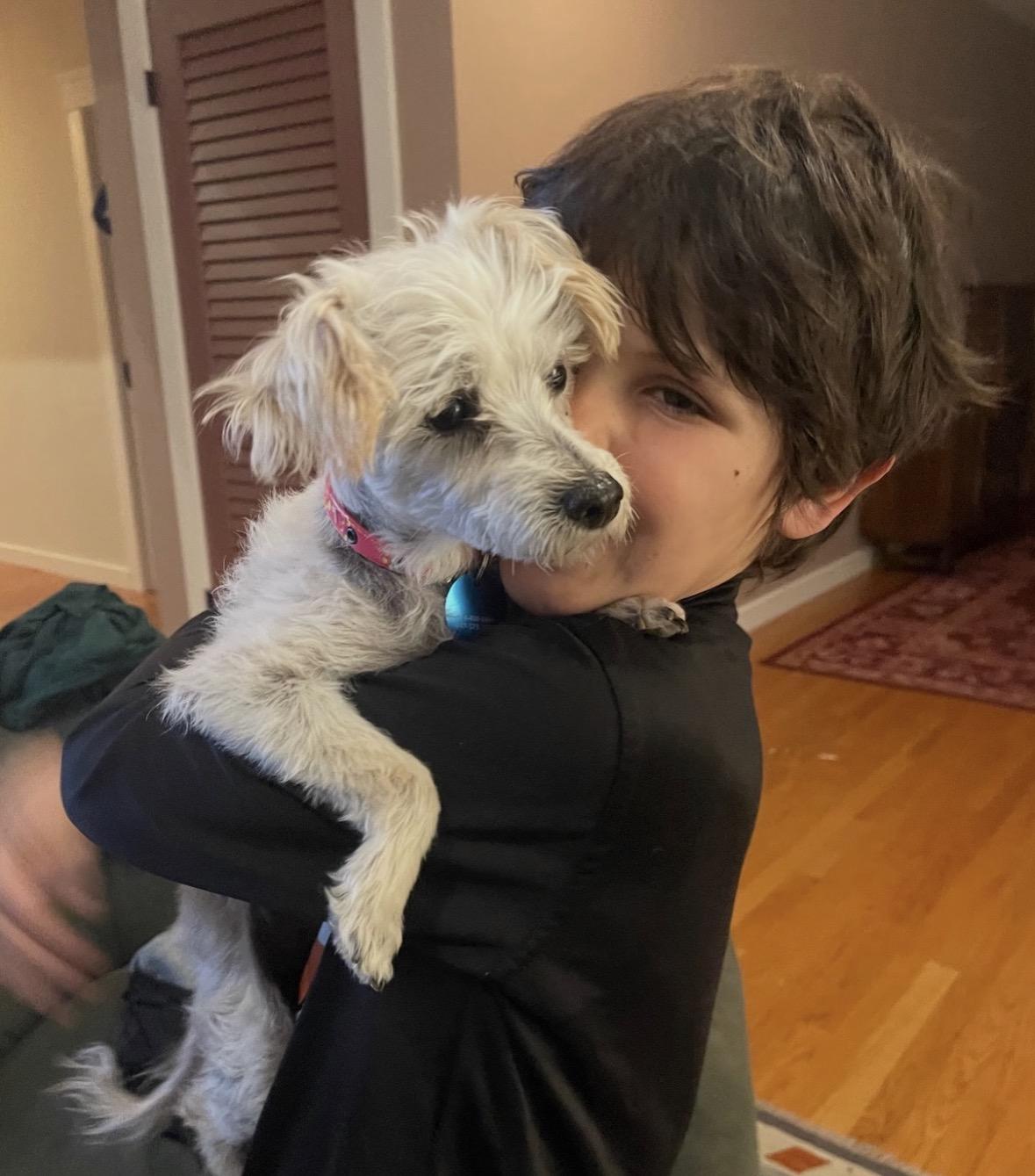 Molly , a ADOPTABLE mixed breed in Pasadena, CA image 6/6