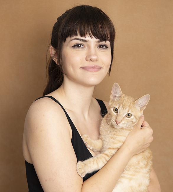 Chip, an adopted Domestic Short Hair in Chicago, IL image 3/4
