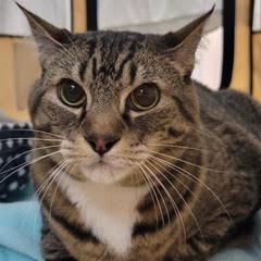 DeDe — thumbnail 2