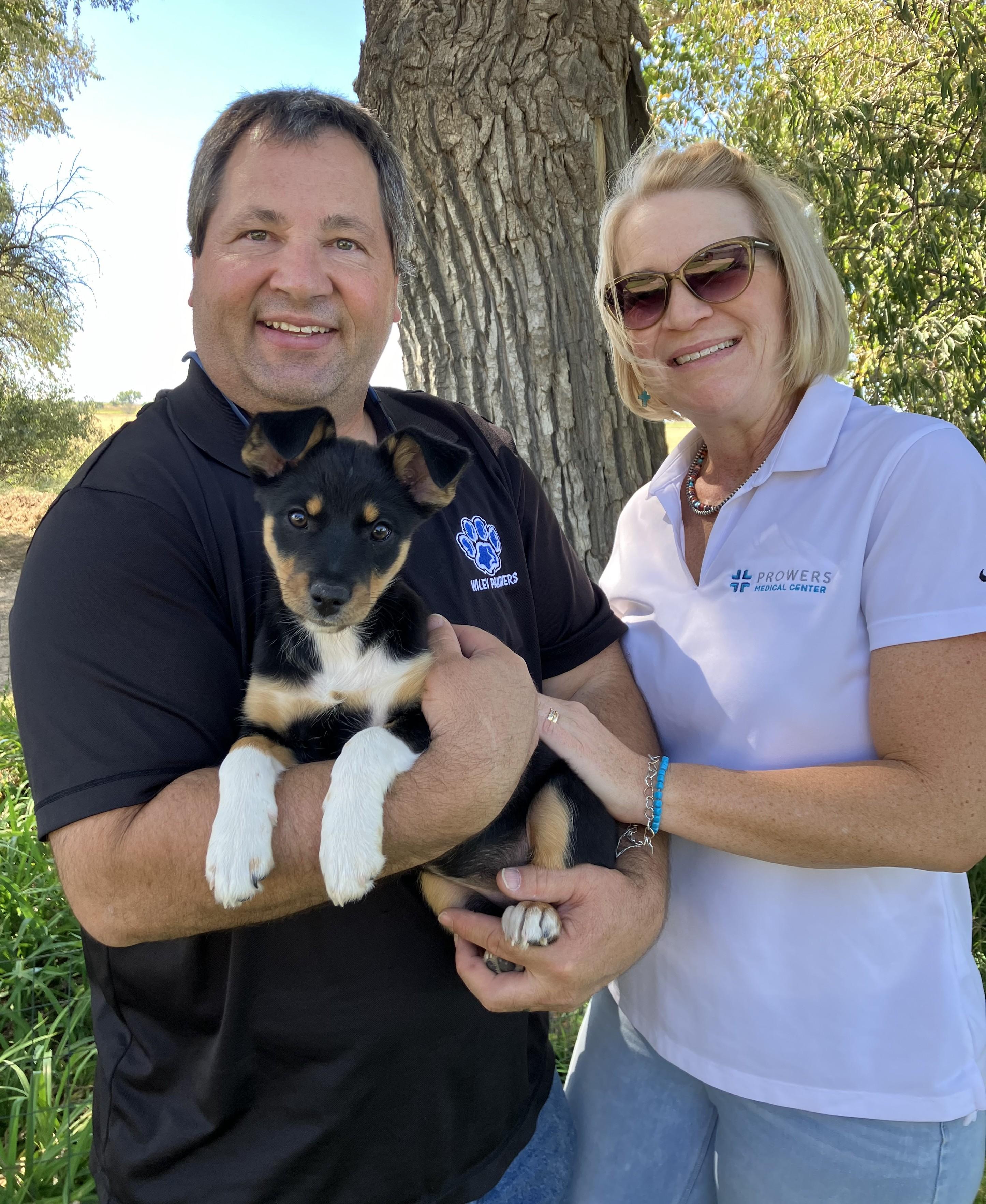 Medora, Adopted, Puppy Female Border Collie.