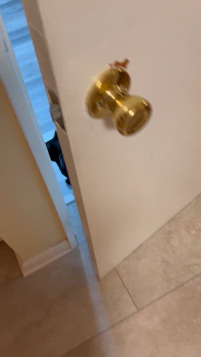 Enlarge Binx, an adoptable Domestic Short Hair in West Orange, NJ video 6/6