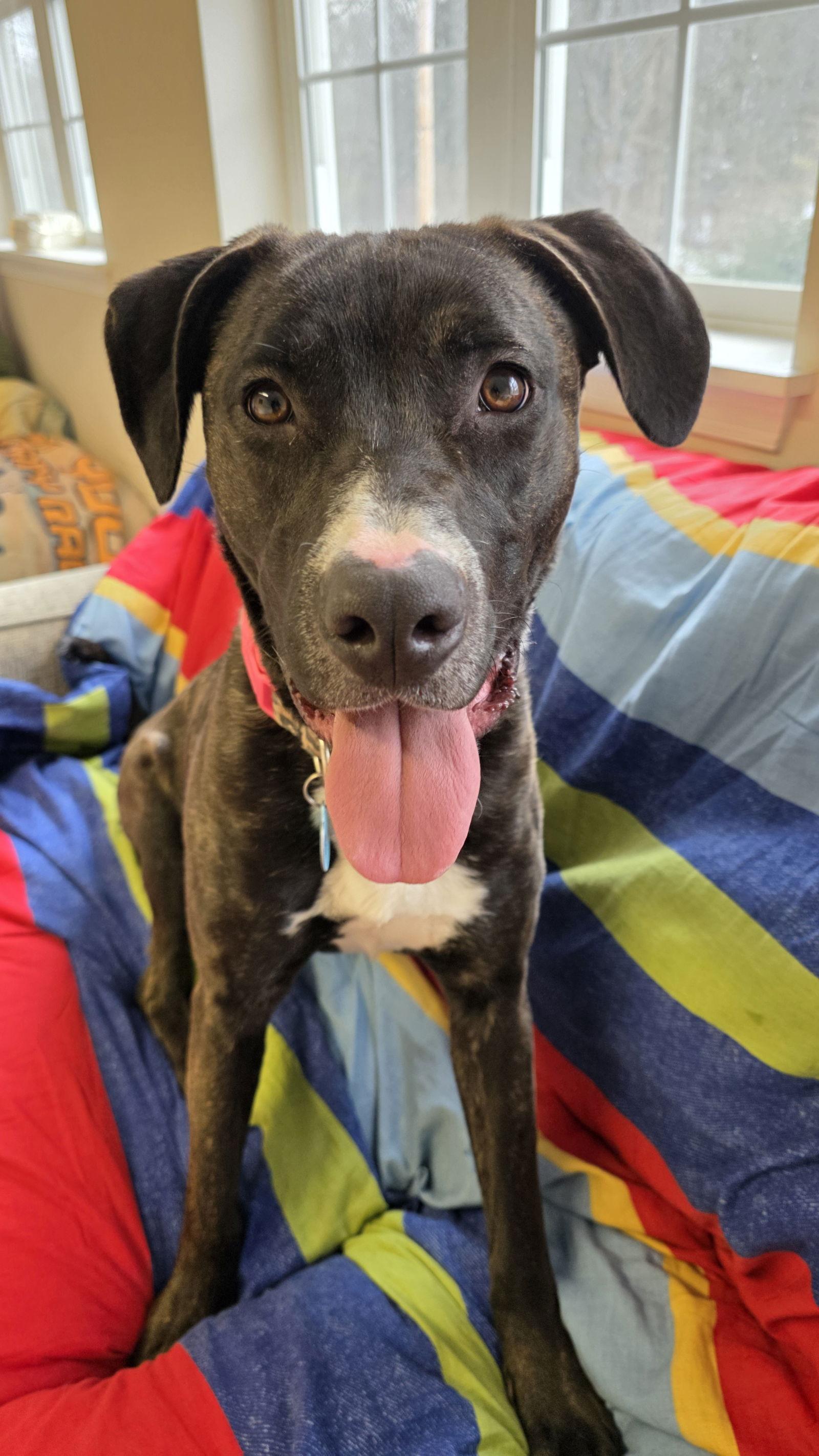 Bobbie Dixon thumbnail 2