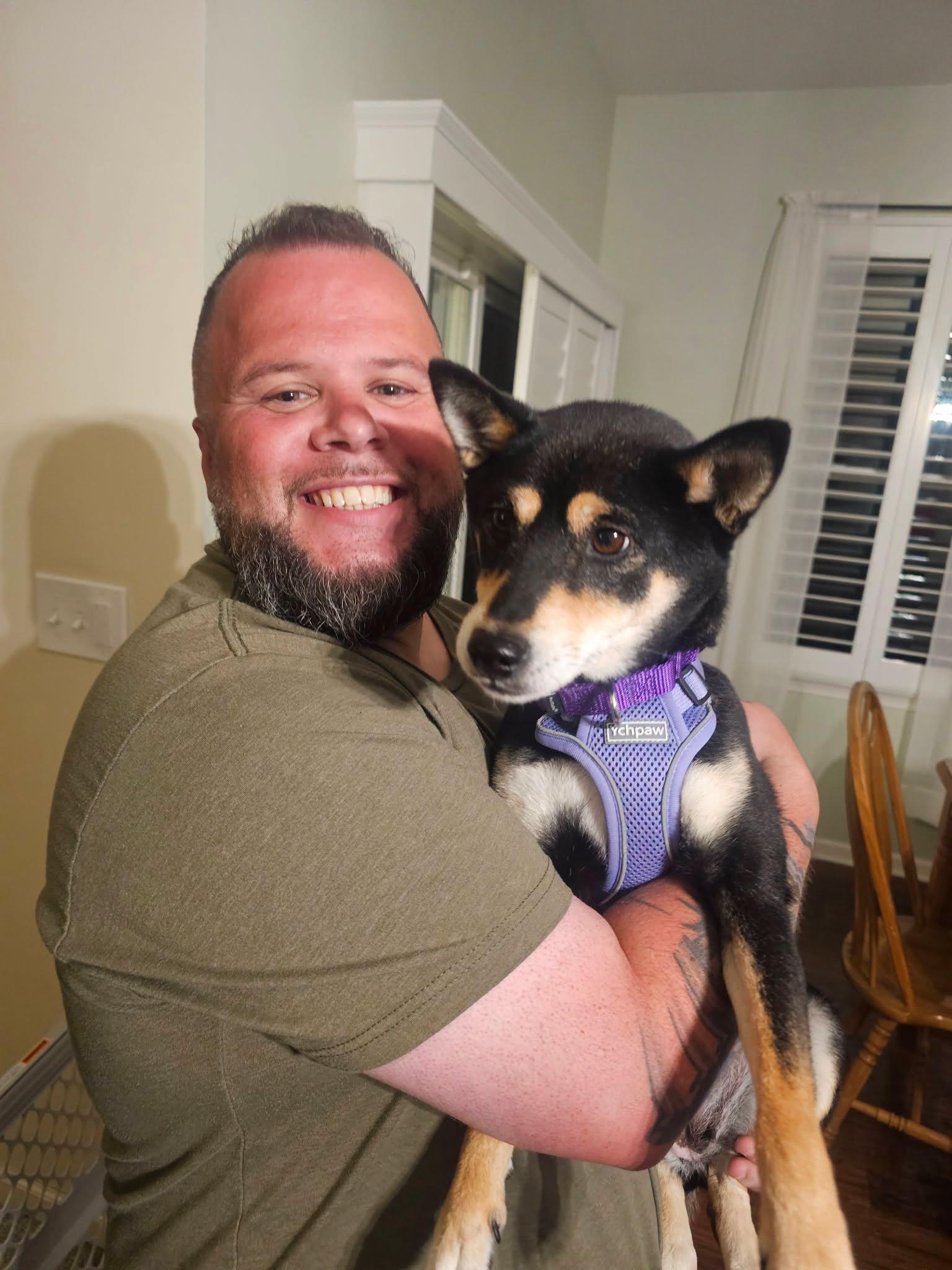 Enlarge Ava, a Adoptable Shiba Inu in Toms River, NJ image 6/6