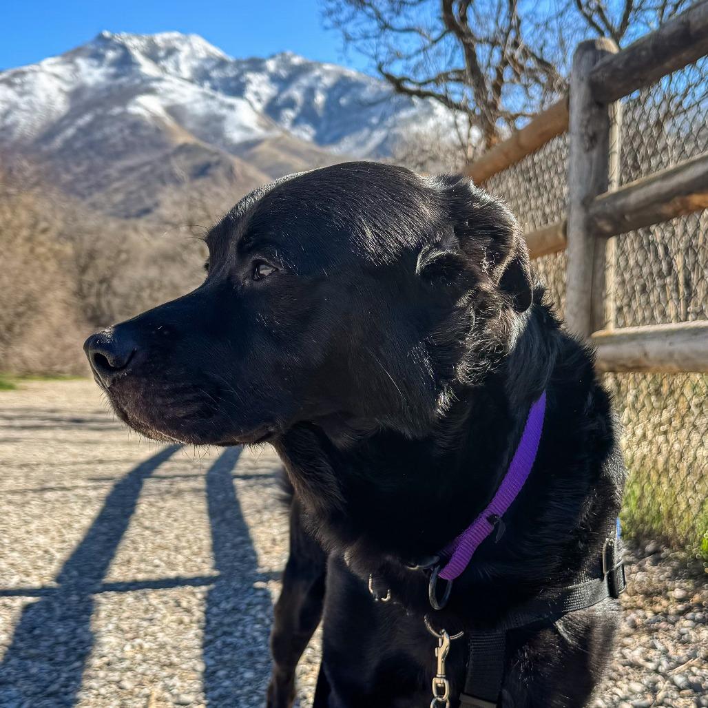 Boost — thumbnail 2